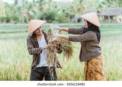 female Asian farmers help male farmers carry the rice they have harvested during the collective harvest in the fields
