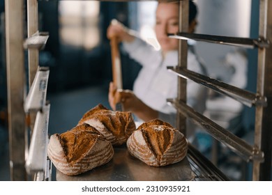 female baker takes out freshly baked fresh bread from the oven and puts it on the shelf in kitchen of the bakery Culinary profession - Powered by Shutterstock