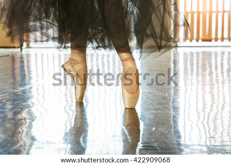 Female ballerina standing on toes in pointes