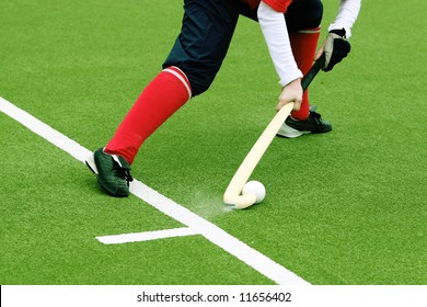 Female bandy on a green grass - Powered by Shutterstock