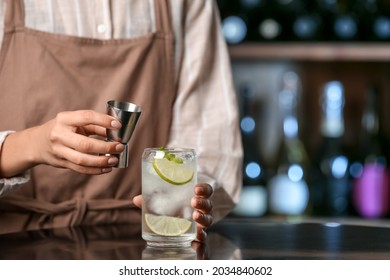 Female Bartender Making Cold Gin Tonic On Table In Bar