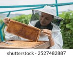 Female beekeeper removing frame from beehive in urban garden