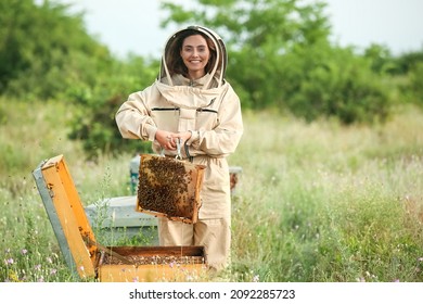 Female Beekeeper Working At Apiary