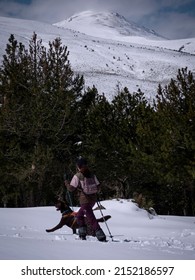 Female with blue beisball cap on walking her chocolate labrador retriever in the mountains full of snow. Pine forest in the background.