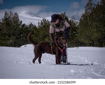 Female with blue beisball cap on walking her chocolate labrador retriever in the mountains full of snow.