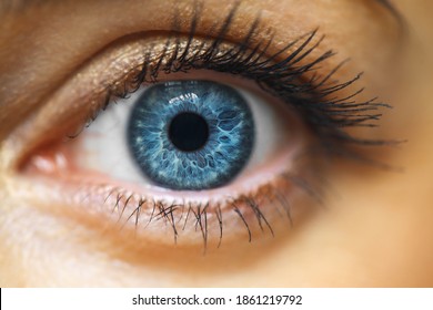 Female Blue Eye With Long Lashes Close Up. Human Eye Macro Detai