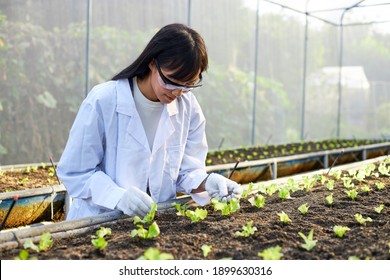 41,159 Botanist Stock Photos, Images & Photography | Shutterstock