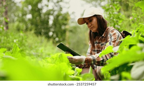 A female botanist researches plant species and works on a digital tablet in the rainforest. Environment and ecosystem concept. Biological activist. - Powered by Shutterstock