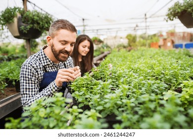 Female business owner and gardener preparing flowers and seedlings for customer. Small greenhouse business. - Powered by Shutterstock