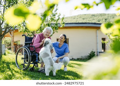 Female caregiver showing cute dog to senior woman in wheelchair. Nurse and elderly woman enjoying a warm day outdoors. - Powered by Shutterstock