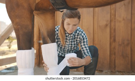 Female caretaker bandaging horse leg outside the stable during the daytime. Dark brown injured horse. Girl wrapping the bandage on the horse leg. Taking care of an injured horse.  - Powered by Shutterstock