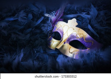 Female Carnival Mask