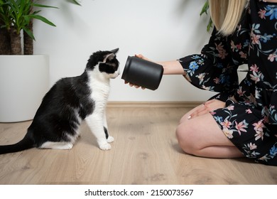 Female Cat Owner Kneeling On The Floor Showing Black Treat Jar To Tuxedo Kitty That's Looking Inside The Jar