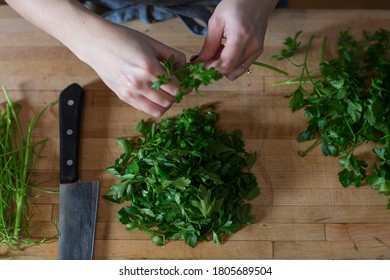 Female Chef Chopping Fresh Herbs