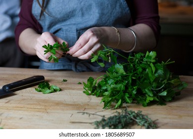 Female Chef Chopping Fresh Herbs