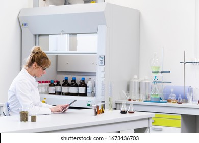 Female Chemical Scientist Holds Finger Over Blank Tablet Screen In Laboratory. Marijuana Bud, CBD And CBDa Oils Are On Table. Healthcare Pharmacy From Cannabis Seeds.