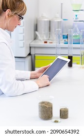 Female Chemical Scientist Holds Finger Over Blank Tablet Screen In Laboratory. Marijuana Bud, CBD And CBDa Oils Are On Table. Healthcare Pharmacy From Cannabis Seeds.