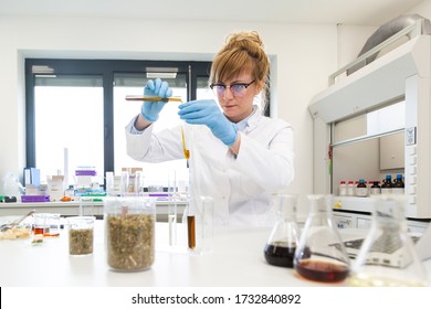 Female Chemical Scientist Wearing Glasses Works With Hemp CBD And CBDa Oils In Laboratory. She Uses Latex Gloves, Glass Tubes And Erlenmeyer Flasks. Healthcare Pharmacy From Cannabis Seeds.