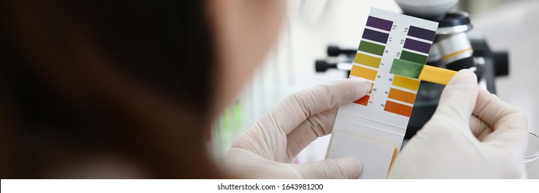 Female Chemist Holding Litmus Paper In Hands. Analyzes Ph Test In A Chemical Laboratory. Chemistry Industry Education Concept