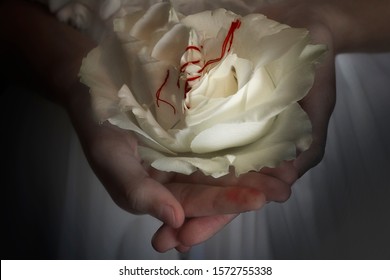 Female circumcision.
White rose stitched with red thread.