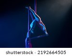 Female circus gymnast hanging upside down on aerial silk and demonstrates stretching. Young woman performs tricks at height on silk fabric. Acrobatic stunts on black background with blue backlight.