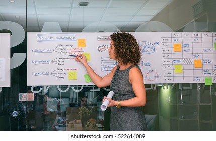 Female Coach Showing Project Management Studies Over Glass Wall