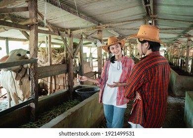 Cow Wearing Hat Images Stock Photos Vectors Shutterstock