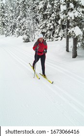 Female Cross Country Skiier In The Forest, Sweden.