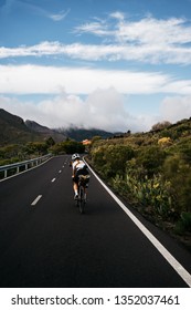 Female Cyclist In Bike Packing Tour. Girl Ride Her Bike With Bags In Island With Palms, Bike Packing Travel. Cycling In Tenerife, Canary Islands. Cycle In Beautiful Nature 