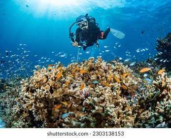 Buceador femenino posando sobre arrecife de coral duro con una escuela de peces antías y otra vida marina. La experiencia de buceo en el mar de Andaman, Tailandia.