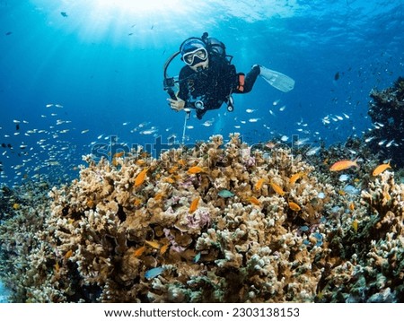 Female diver posing over hard coral reef with a school of anthias fish and other marine life. Scuba diving experience in Andaman sea, Thailand.
