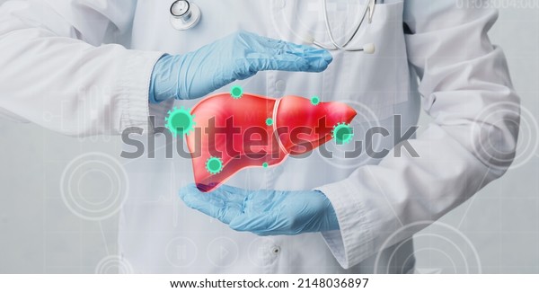 Female doctor with drawn liver, closeup.\
Hepatitis concept