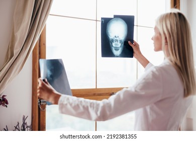 Female Doctor Examines Skull Scans In Office