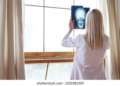 Female Doctor Examines X-ray Of Patients Skull.