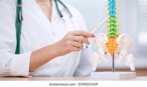 Female doctor explaining human spine model in medical office setting. - Powered by Shutterstock - Get 15% off with code: PIKWIZARD15