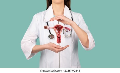 Female doctor Gynecologist with a stethoscope holds model of female reproductive system in the hands. Help and care concept - Shutterstock ID 2185492845