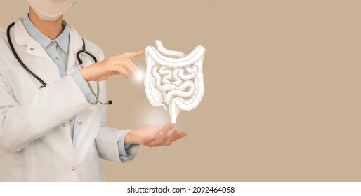 Female doctor holding virtual Intestine in hand. Handrawn human organ, copy space on right side, beige color. Healthcare hospital service concept stock photo