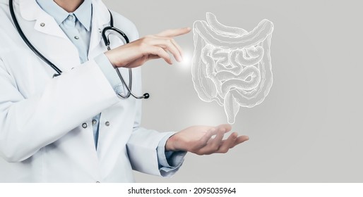 Female Doctor Holding Virtual Intestine In Hand. Handrawn Human Organ, Copy Space On Right Side, Grey Hdr Color. Healthcare Hospital Service Concept Stock Photo