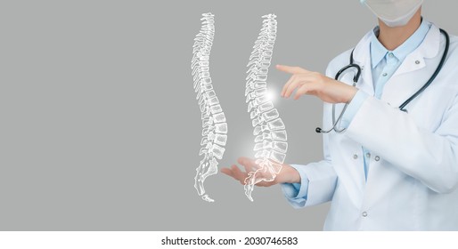 Female doctor holding virtual Spine in hand. Handrawn human organ, copy space on right side, raw photo colors. Healthcare hospital service concept stock photo - Shutterstock ID 2030746583