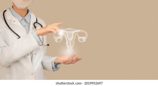 Female doctor holding virtual Uterus in hand. Handrawn human organ, copy space on right side, beige color. Healthcare hospital service concept stock photo - Shutterstock ID 2019952697