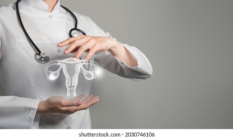 Female doctor holding virtual Uterus in hand. Handrawn human organ, copy space on right side, raw photo colors. Healthcare hospital service concept stock photo
