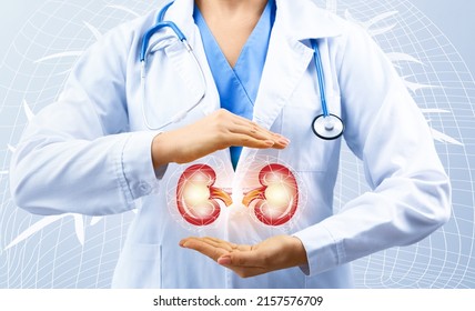 Female doctor and kidneys on virtual screen against light background