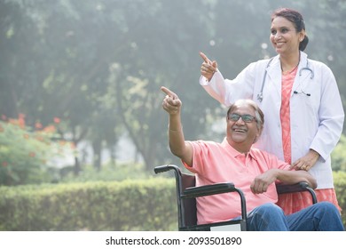 Female Doctor With Old Man In Wheelchair Admiring View At Park
