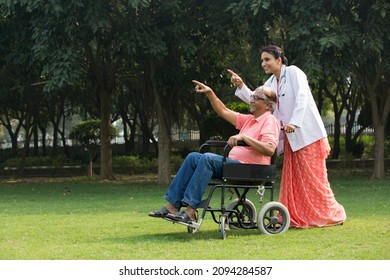 Female Doctor With Old Man In Wheelchair Admiring View At Park
