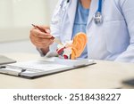 A female doctor sits at a table in a hospital, discussing hearing loss, tinnitus, and balance problems like dizziness and vertigo, addressing issues such as ear infections and inner ear degeneration.