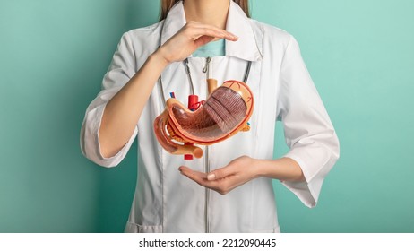 Female doctor with a stethoscope is holding mock stomach in the hands. Help and care concept - Shutterstock ID 2212090445