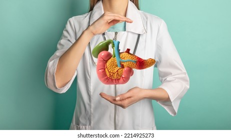 Female doctor with a stethoscope is holding pancreas in the hands. Help and care concept - Shutterstock ID 2214925273