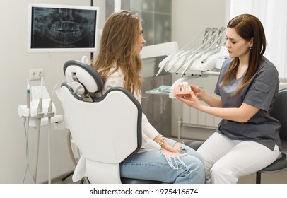 Female doctor talking to a young woman patient. Discussion of the treatment plan. The dentist shows a model of a dental implant. Modern dental clinic - Powered by Shutterstock