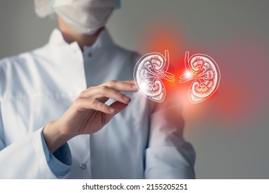 Female doctor touches virtual Kidneys in hand. Blurred photo, handrawn human organ, highlighted red as symbol of disease. Healthcare hospital service concept stock photo