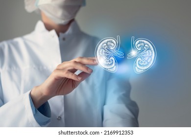 Female doctor touches virtual Kidneys in hand. Blurred photo, handrawn human organ, highlighted blue as symbol of recovery. Healthcare hospital service concept stock photo - Shutterstock ID 2169912353